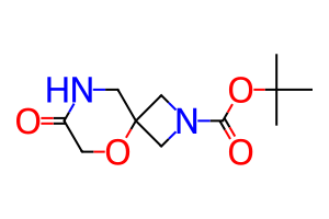 Snipaste_2026-03-24_10-20-16_edited_edit