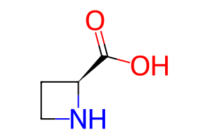 Snipaste_2026-03-24_10-20-16_edited_edit
